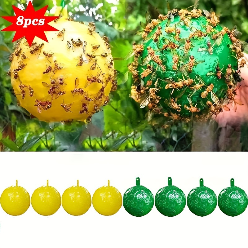 1pc Bug Catcher, Bug Catching Tool For Spider And Insects, Catcher Live  Bugs, Bug Catching Kit Bug Trapper For Indoor And Outdoor Yard