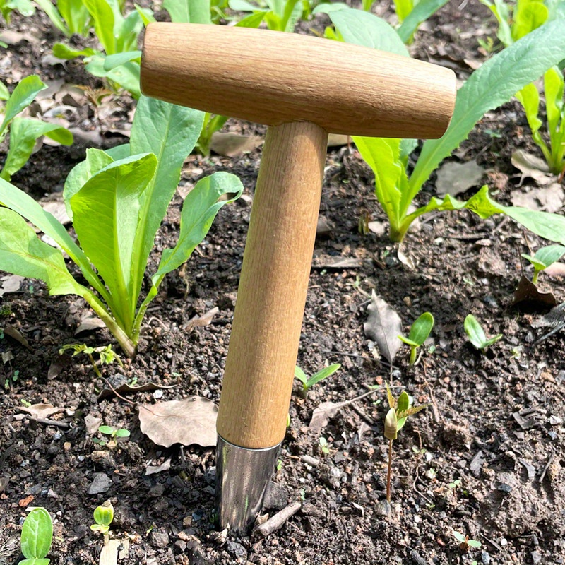 *. Gartenlochstecher T-frmiger Dnger Pflanzstecher mit Holzgriff zum *  und Umsetzen von Saatlingen, T-frmiges Design, Robuste Konstruktion,  Stabiler Griff, Blumenzwiebel, Pflanzen Zwiebeln, Garten ...