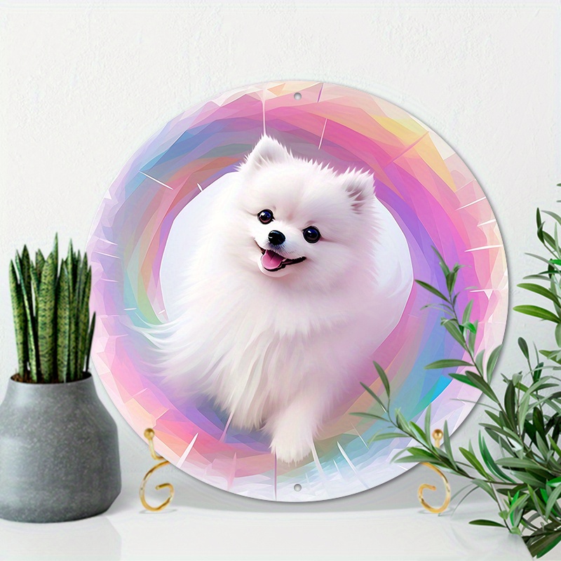 perro de pomerania blanco