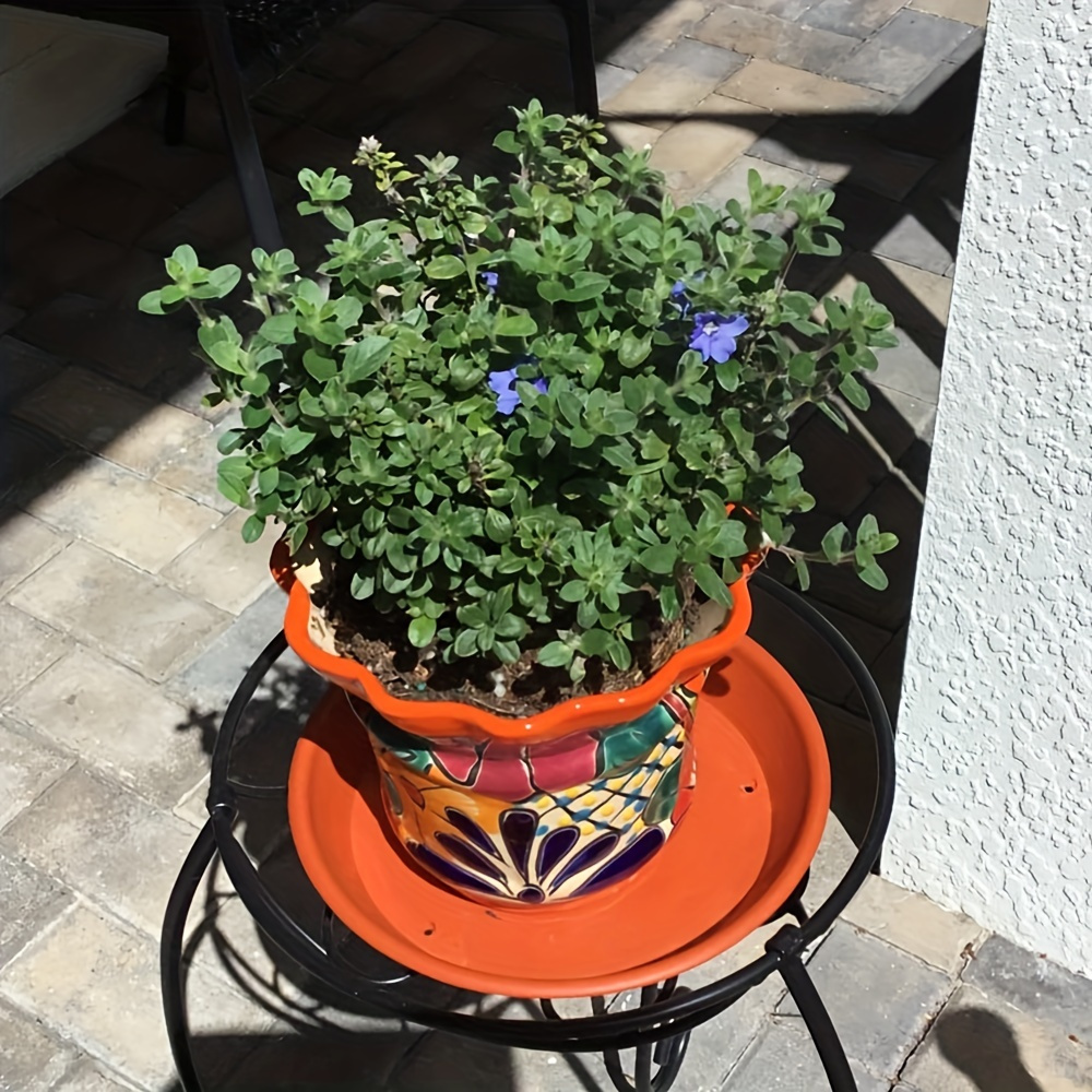 12 inch plant saucer heavy duty plastic plant saucer - Temu