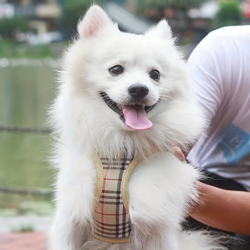 

Dog Harness And Leash Set, Reflective Dog Vest Harness With Leash