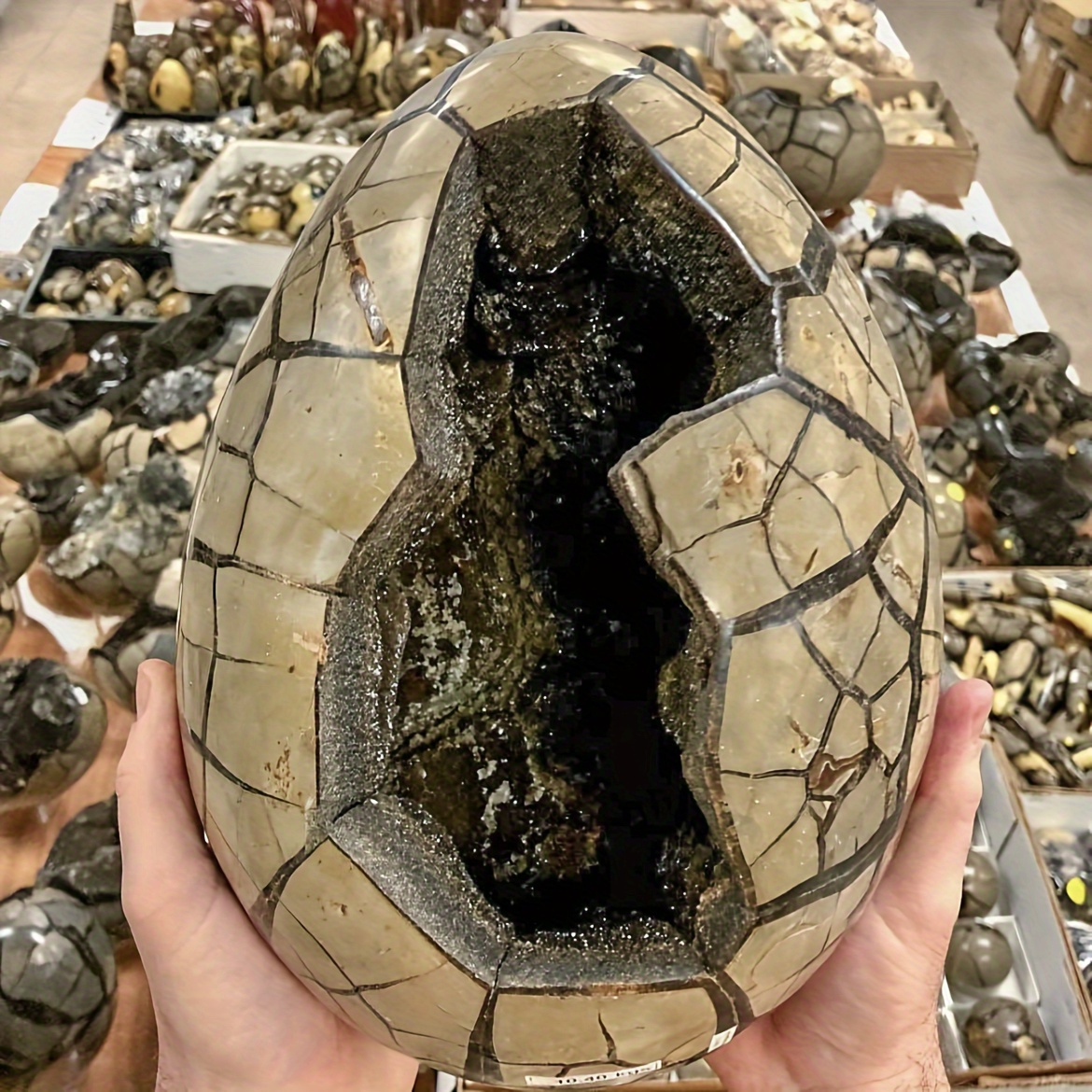 

1pc Unique Turtle Back Egg Statue - High-quality, Natural & Authentic, Home Decor & Gifting, Ideal For Holidays, Graduations, Easter, Turtle Decor