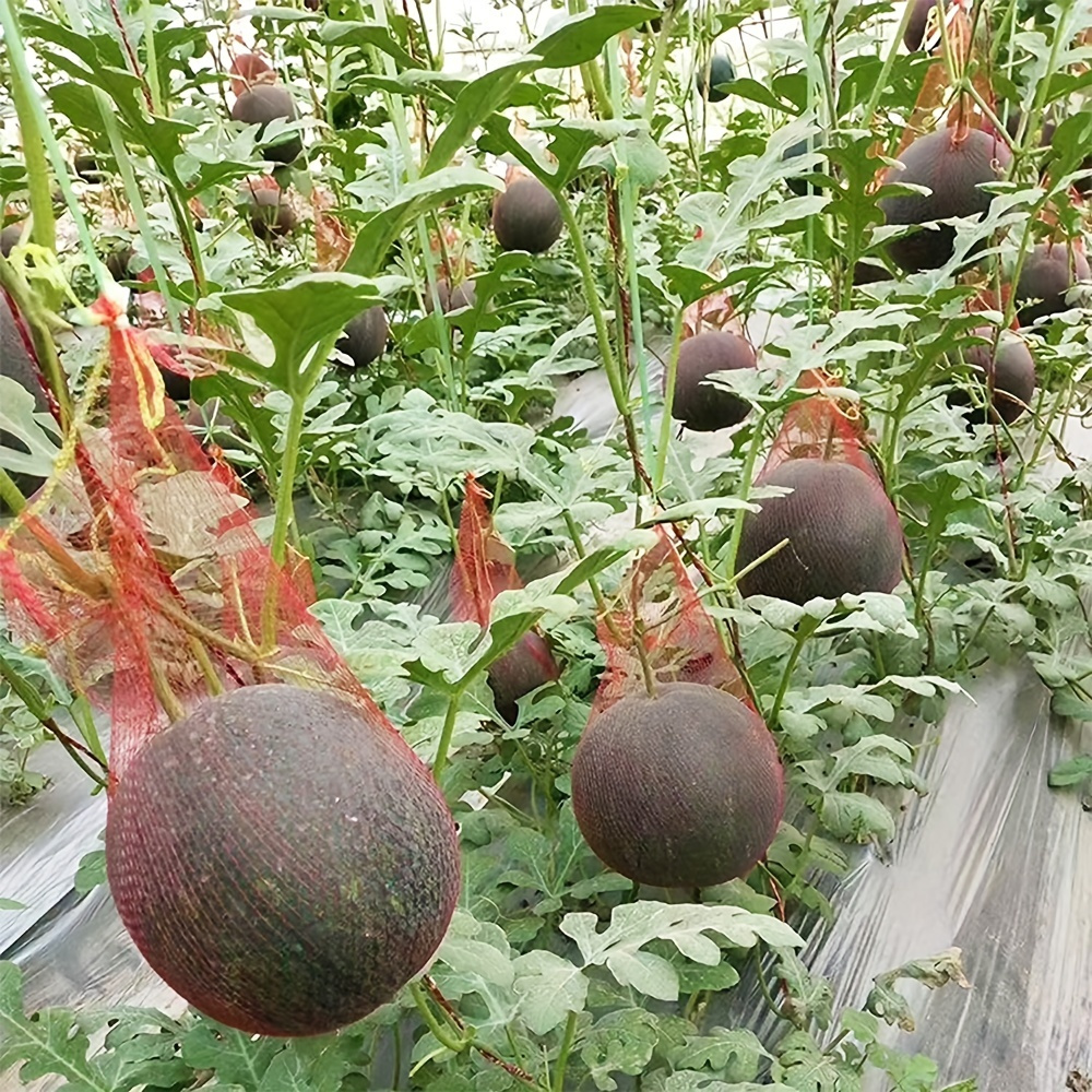 Garden Nets For Melons - Temu