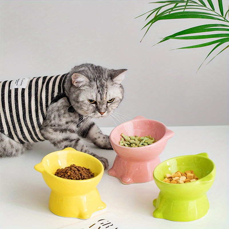 Cat bowl fashion stand