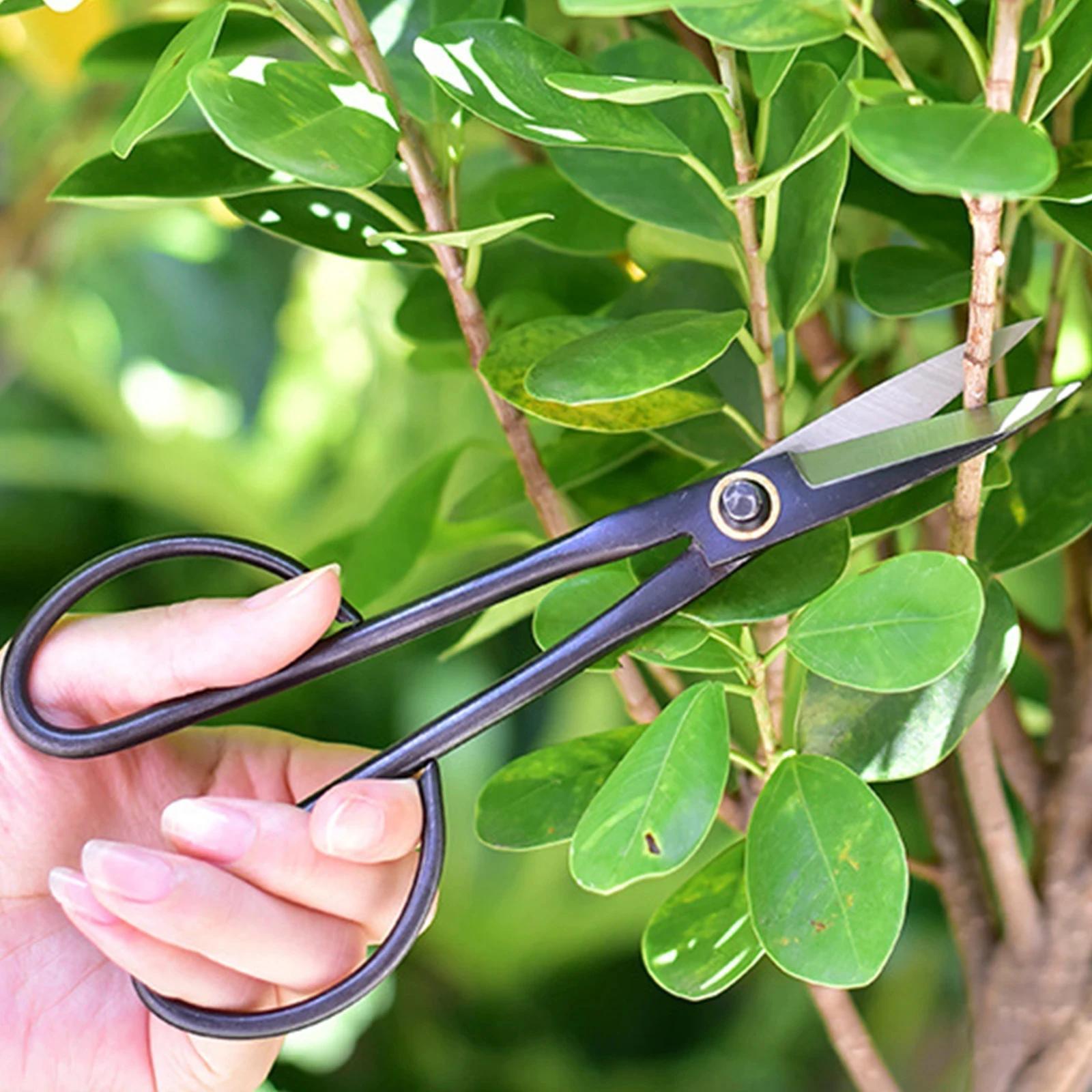 seifenschale bambus dm Bambus Seifenschale – Cocoeco