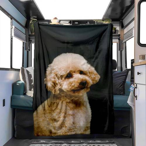 1pc Convenient Blanket With Cute Poodle Pattern For Napping In The RV During All Four Seasons