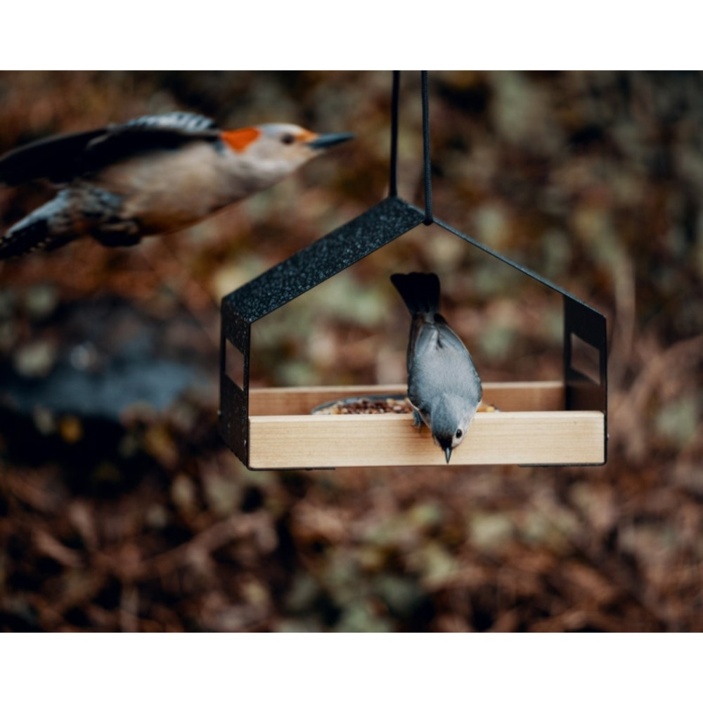 

Mangeoire à oiseaux classique en métal à suspendre, nichoir d'extérieur durable avec montage facile, design élégant inspiré de la nature pour la décoration de la cour et du patio