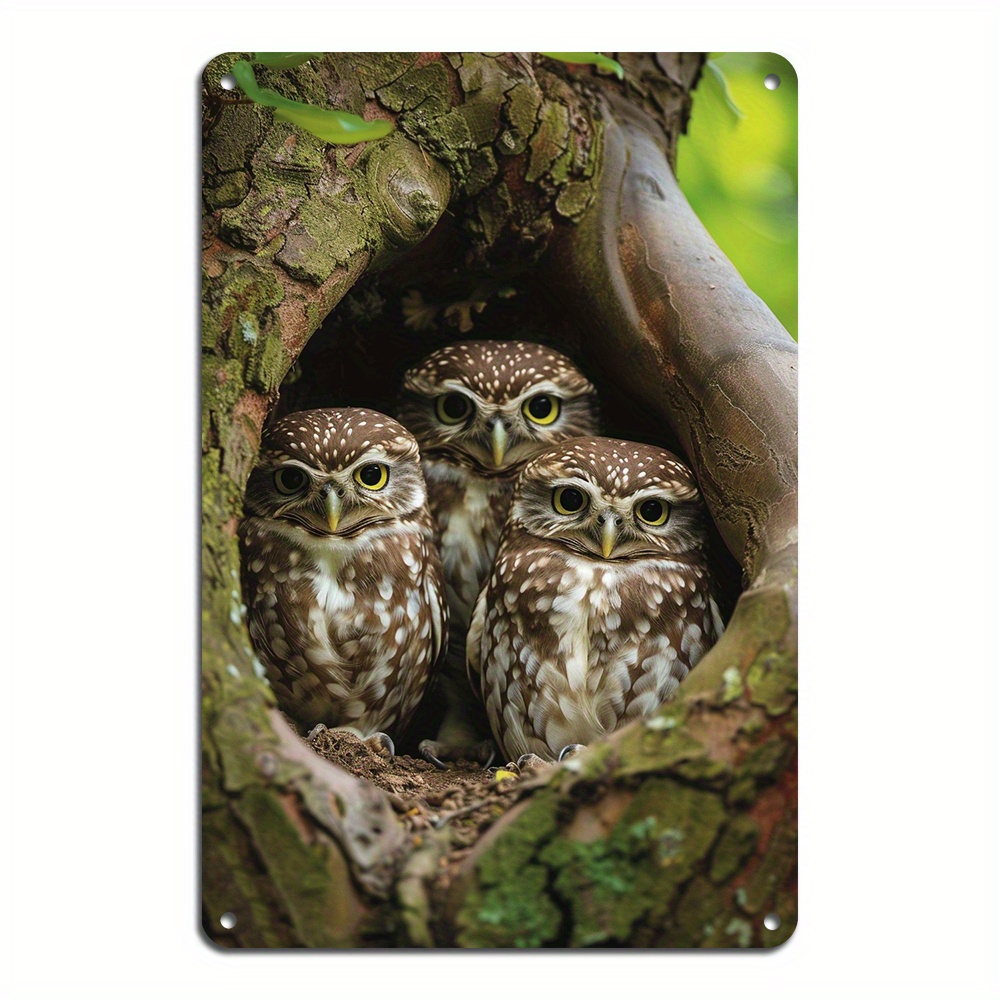 

1pc, 3 Owls Wall Art Metal Tin Sign Retro Metal Tin, Wall Art For Room Decor, Home Restaurant Bar Cafe Garage Decor (8x12inch/20*30cm)