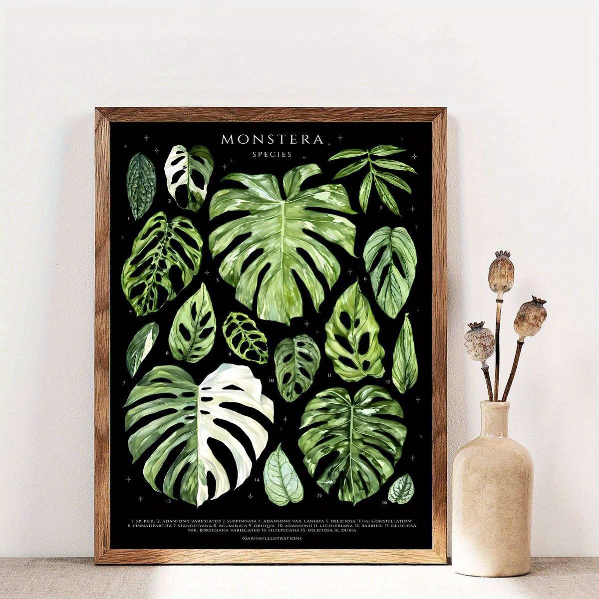 

1pc Unframed Canvas Poster, Monstera Varieties Art Painting, Canvas Wall Art, Artwork Wall Painting For Gift, Bedroom, Office, Living Room, Cafe, Bar, Wall Decor, Home And Dormitory Decoration