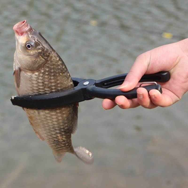 Caijia-H Mini Fish Lip Gripper,Fish Gripper Grip Tool Professional Fish  Holder Stainless Steel Fish Lip Grabber 25 Pound Fish Gripper Grip Tool for  Saltwater Freshwater (Black : : Pet Supplies