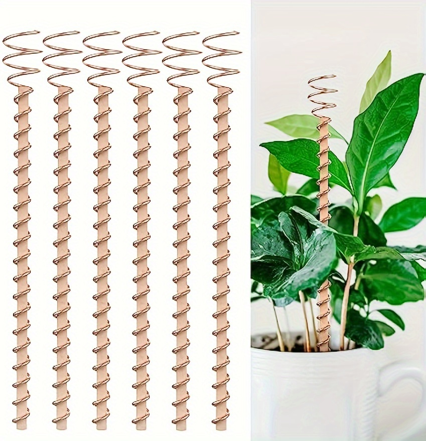 6er set kupferspiral gartenpfhle zimmerpflanzen elektro - Temu Austria