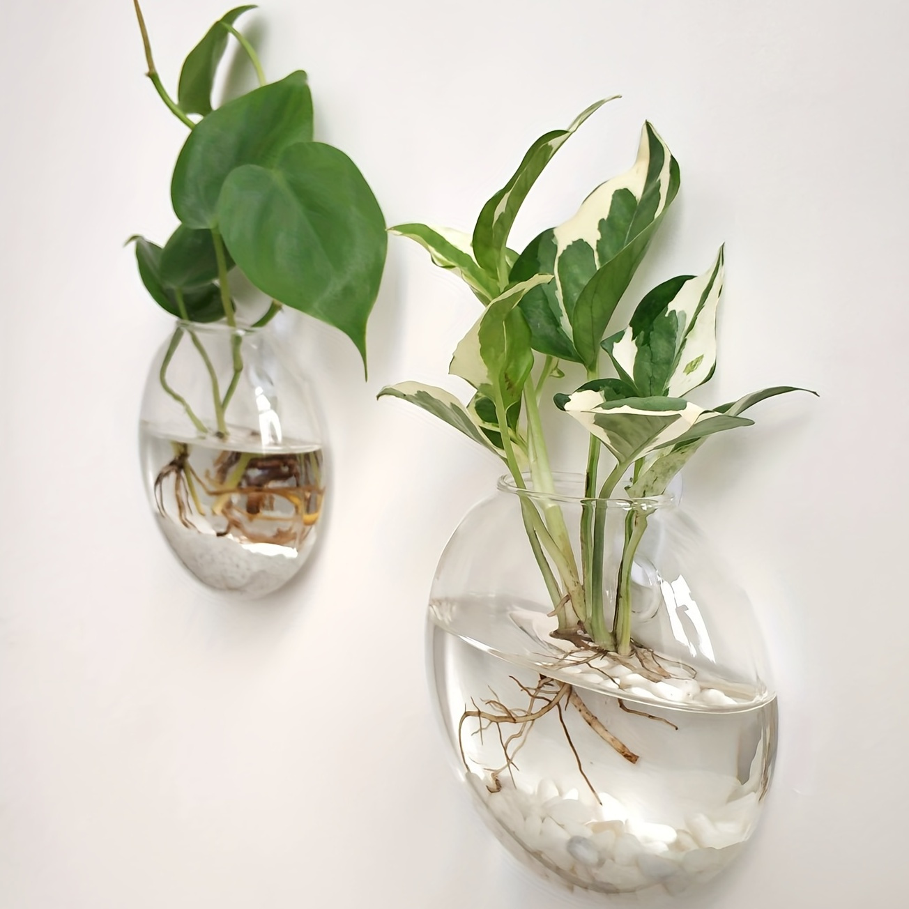 

2pcs/4pcs/6pcs Rimless Round Glass Terrarium Set, Wall Mounted Hydroponic Plant Vase, Hydroponic Plant Holder, Contemporary Home & Office Decor, For Flower Shops