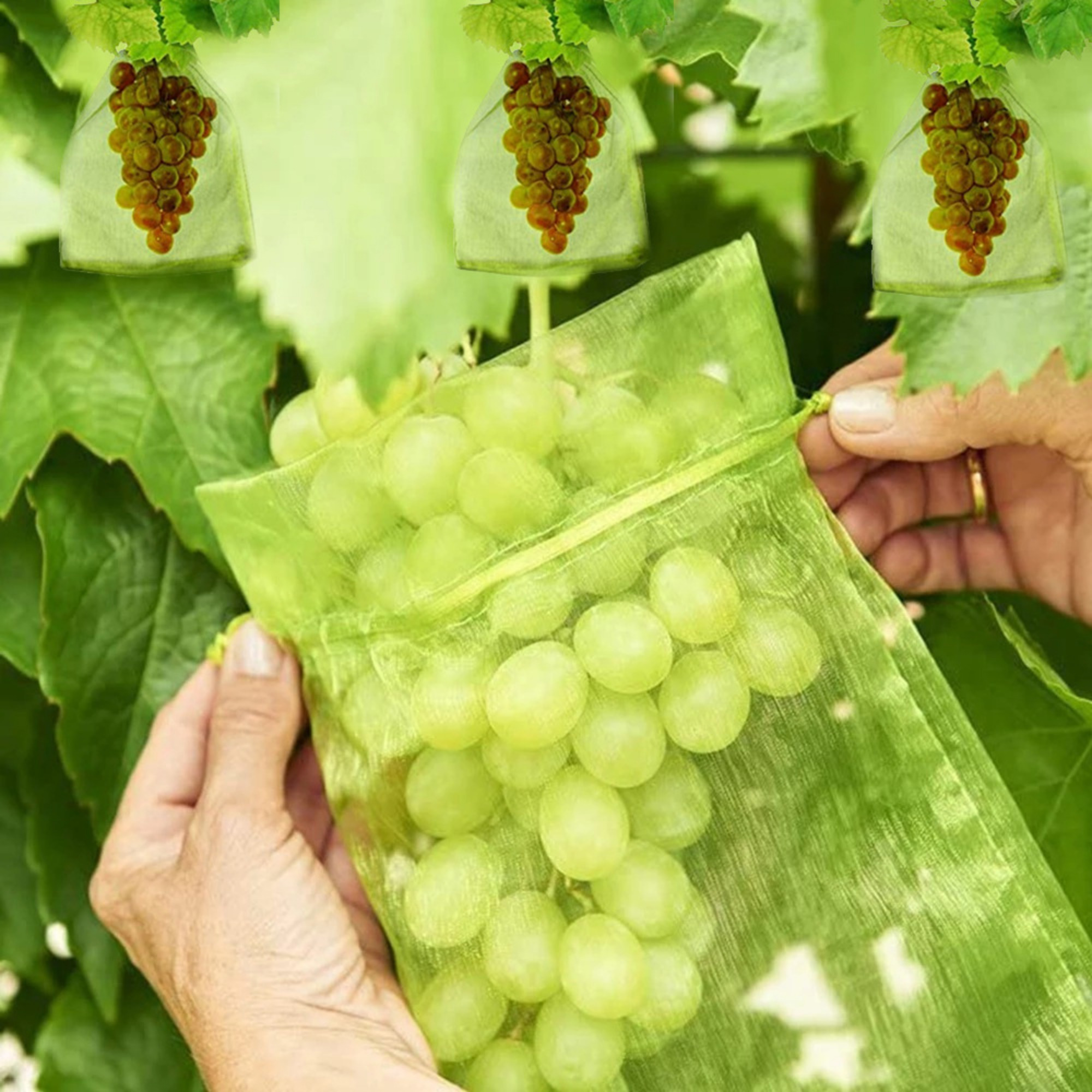 

50/100pcs Garden Fruit Protection Bags, Organza Mesh Netting Covers For Grapes Fruits Vegetables, Anti-bug Drawstring Pouches, Candy Gift Bags, Reusable Supplies