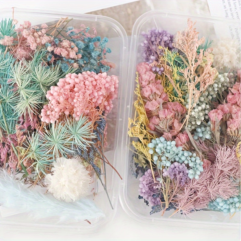 

1 Box Dried Flower Suitable For Aromatherapy Flower Candle Making Epoxy Resin Pendant Necklace Jewelry Making Craft Diy Resin Filler Accessories