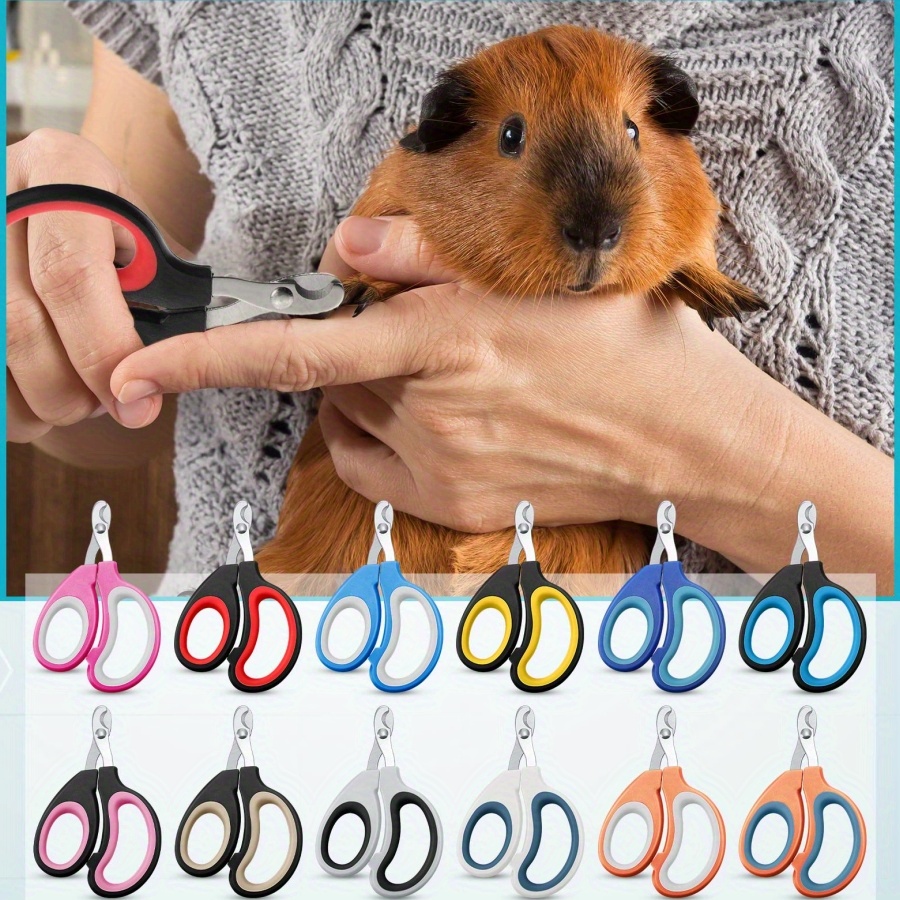 Guinea Pigs Hamster Nail Clippers Guinea Pig Hair Clippers Hands