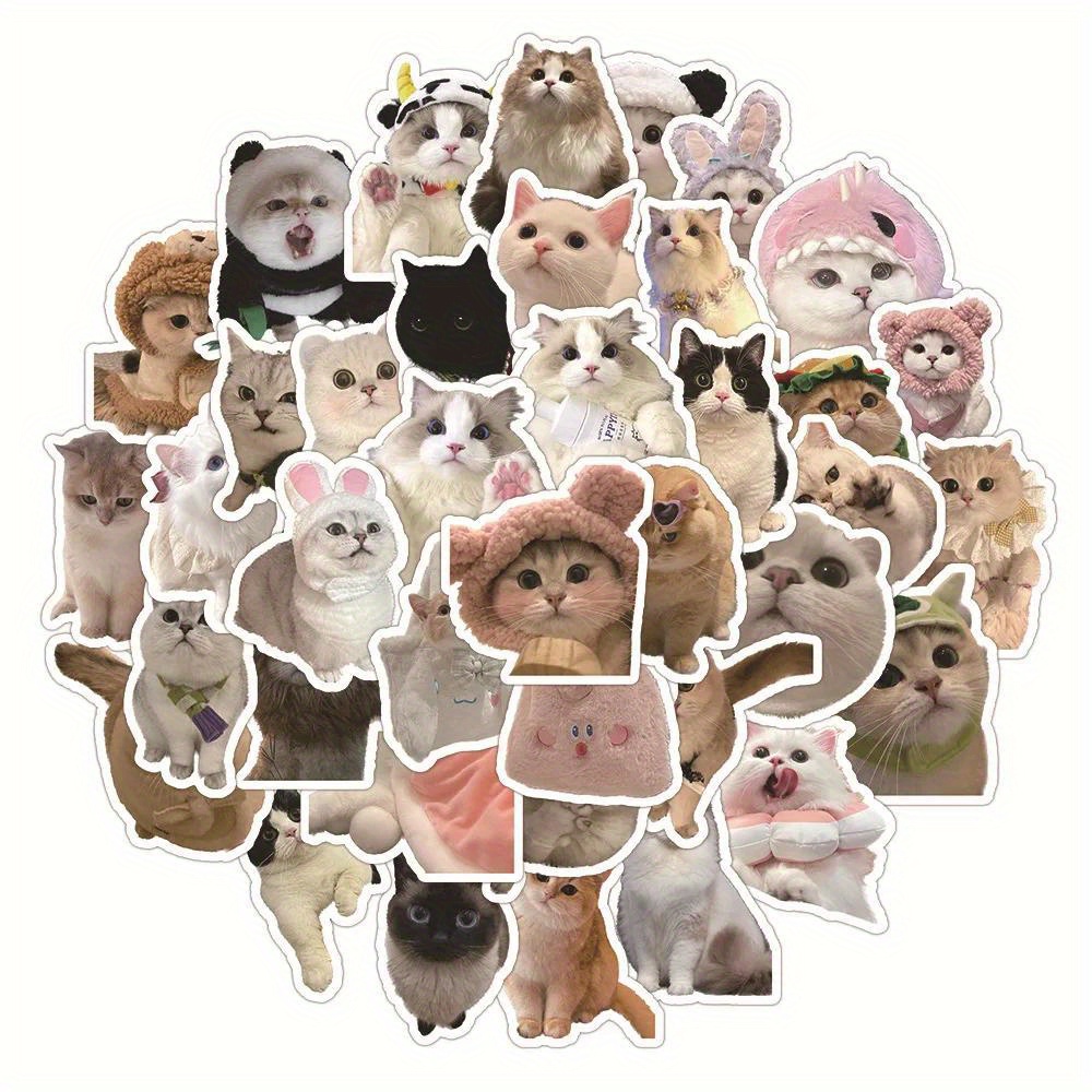 60pcs Adorable Reusable Cartoon Cat PVC Stickers for Guitar, Phone, and Stationery Decoration - Colorful, Durable, and Easy to Use - Paper Material, Reusable, and Aesthetic Design