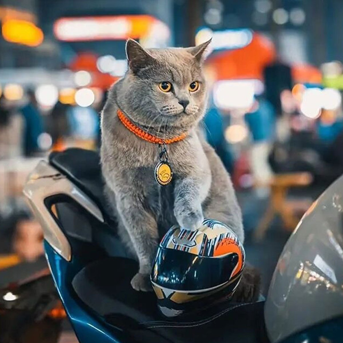 best track motorcycle helmet The best 5 race helmets for 2024