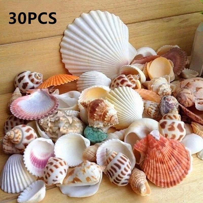 TEMU 30pcs/bag Mix Aquarium Beach Nautical Diy Shells Mixed Bulk Sea Shell