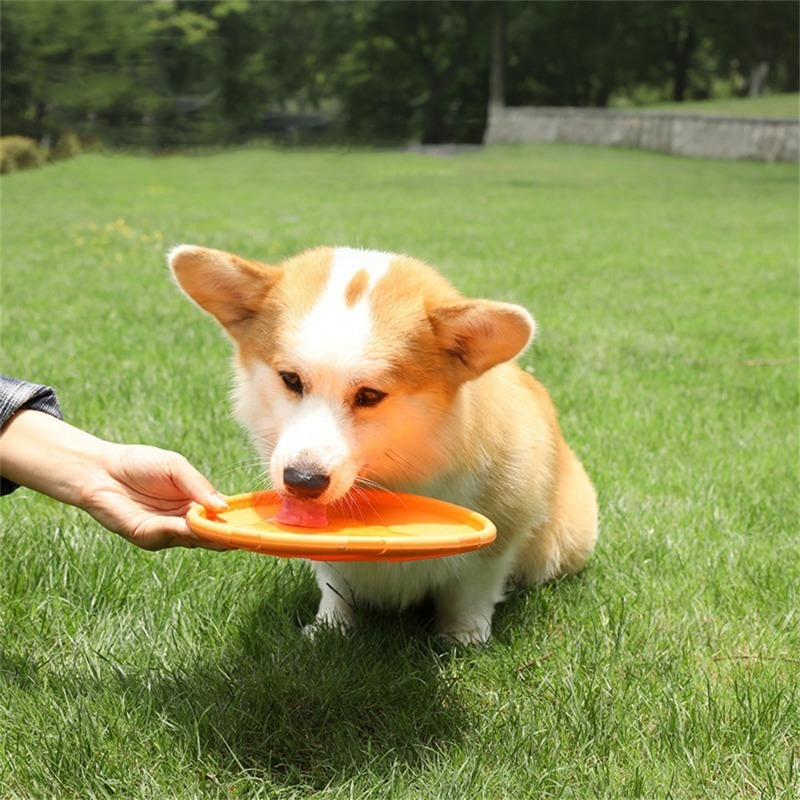 6pcs Rubber Dog Flying Disc Set for Outdoor Games