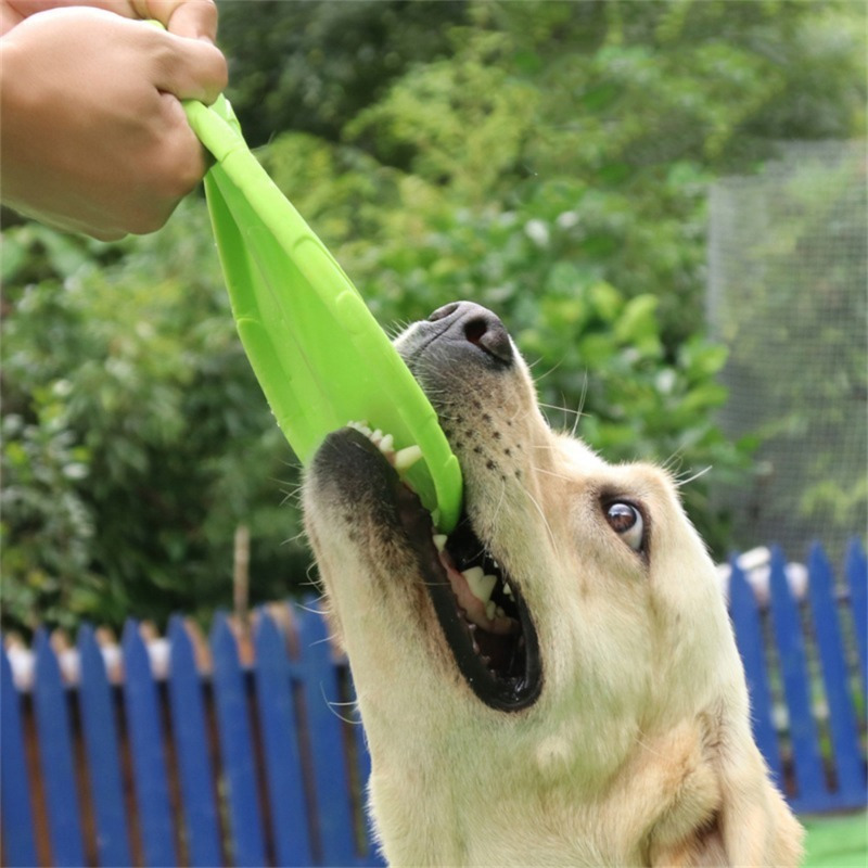 6pcs Rubber Dog Flying Disc Set for Outdoor Games