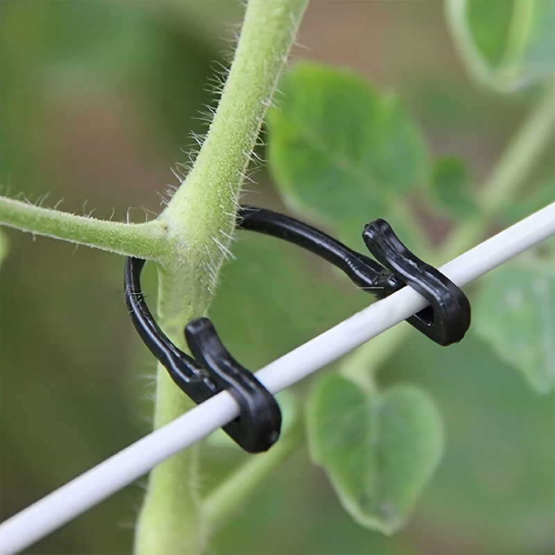 

50 clips de support pour plantes pour une croissance des légumes, clips de treillis de jardin durables pour tomates et plus, faciles à utiliser, pour et