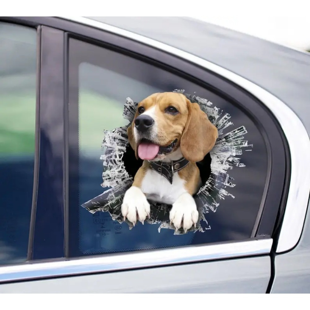 

Beagle Window Sticker, Car Sticker, Beagle Car Decal Sticker For Car
