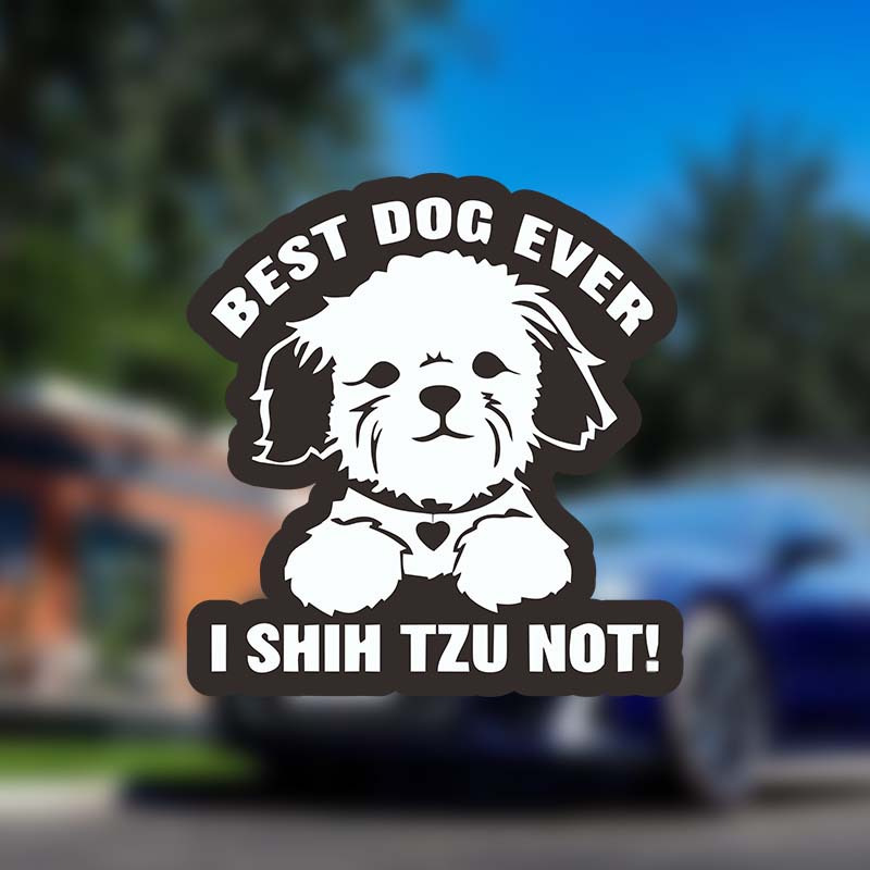 

Shih Tzu Lover's Dream: 'best Dog Ever' Waterproof Vinyl Decal - Perfect For Cars, Trucks, Windows, Laptops & More