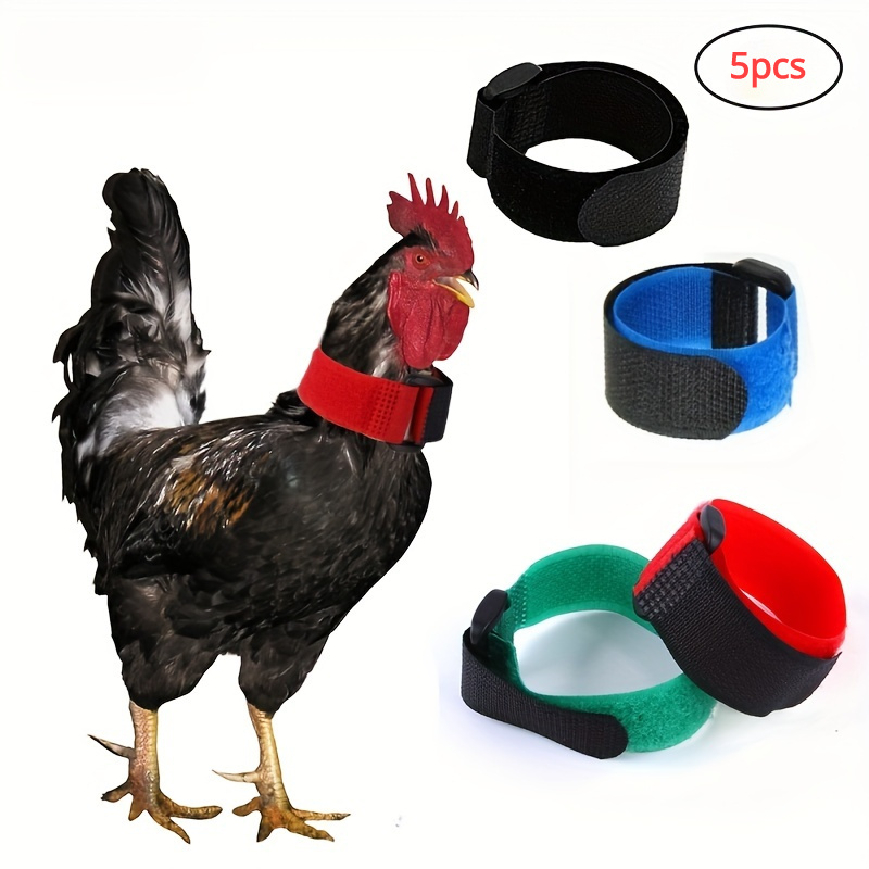 

5pcs Comfortable Noise-free - Prevents Screaming & Feather , Pet Chicken Neckbands