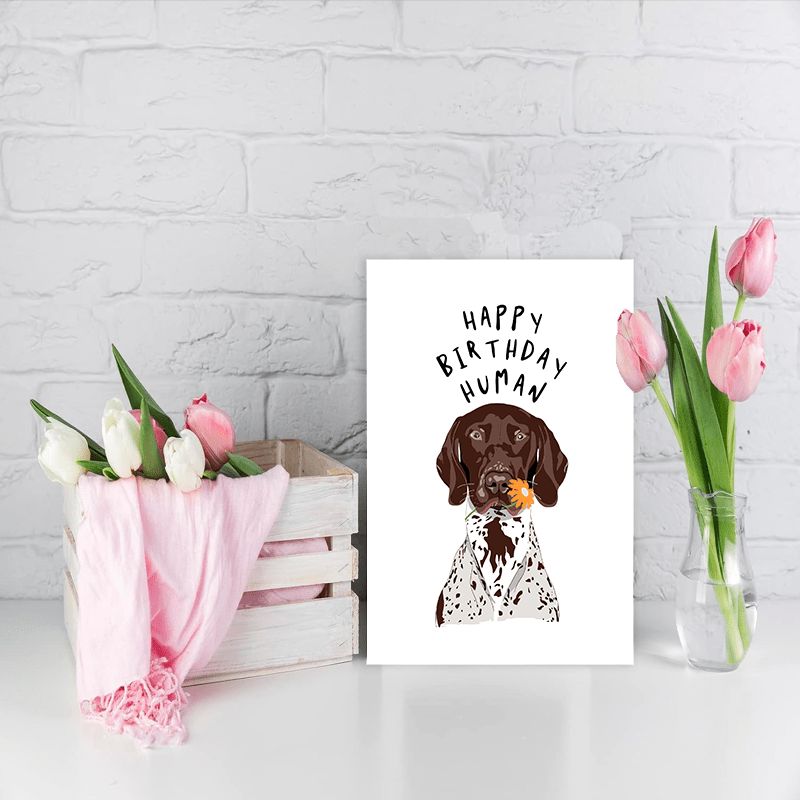 funny animal themed birthday card perfect Temu Mauritius