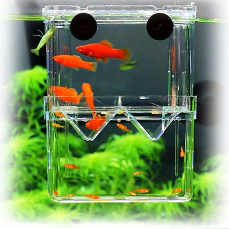 

Double-layer Self-floating Peacock Fish Hatching Box, Acrylic Breeding Isolation Tank, Betta Fish Acrylic Incubator For Aquarium Use