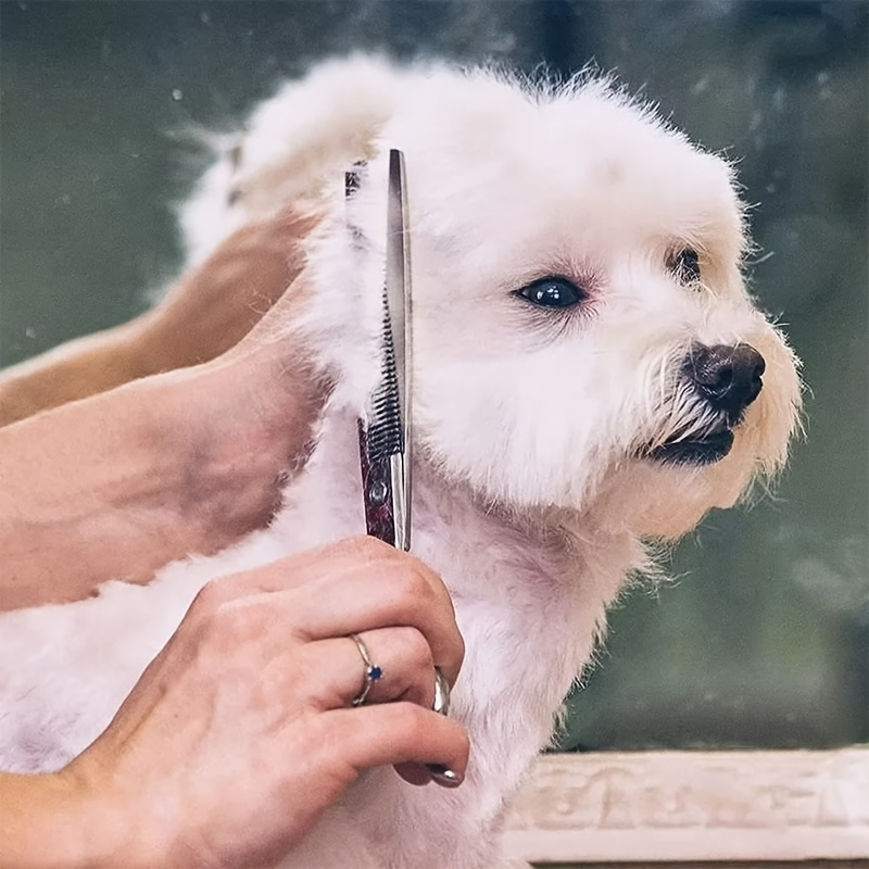

Premium Pet Grooming Kit - Safe Stainless Steel Scissors With Safety Tip For Dogs & Cats