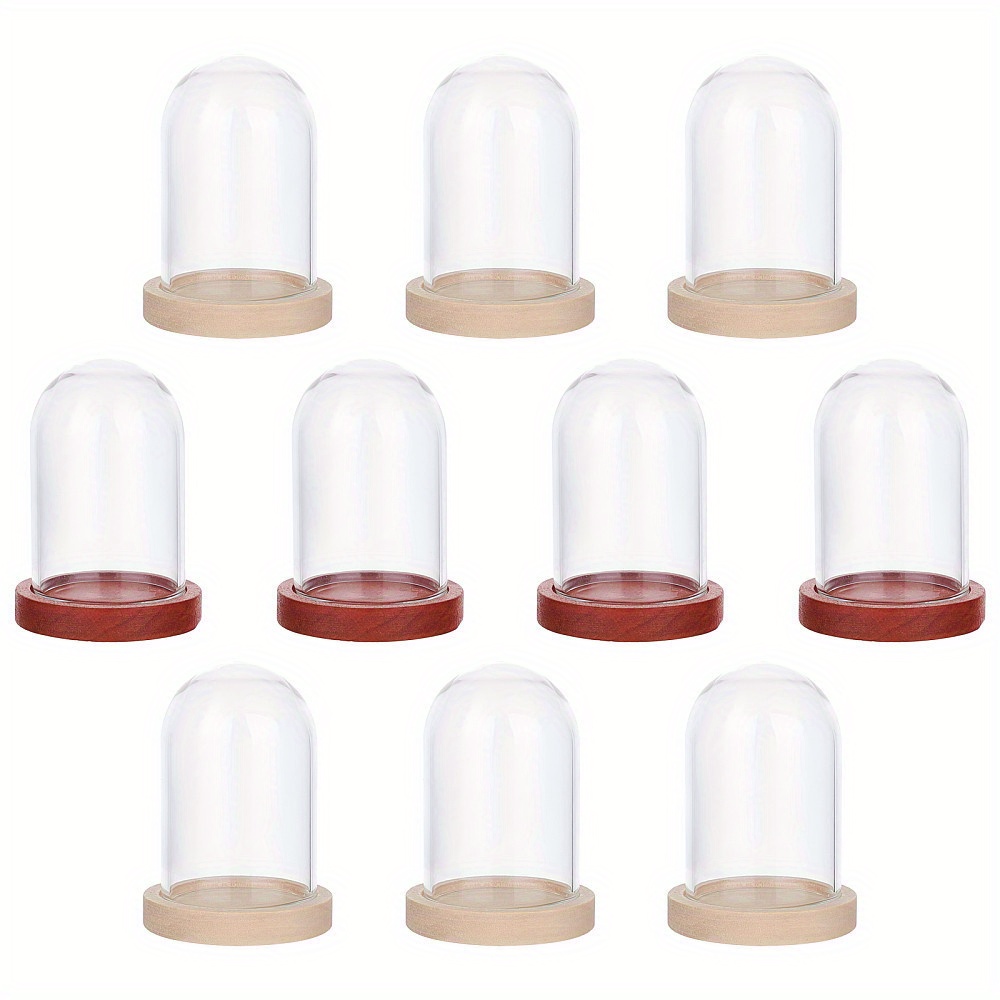 

10 Mini Cloche en Verre Fleur Éternelle Cloche en Verre Transparent avec Base en Bois de 2 Couleurs Cloche pour Centres de Table Plantes Spécimens Décorations Artisanat