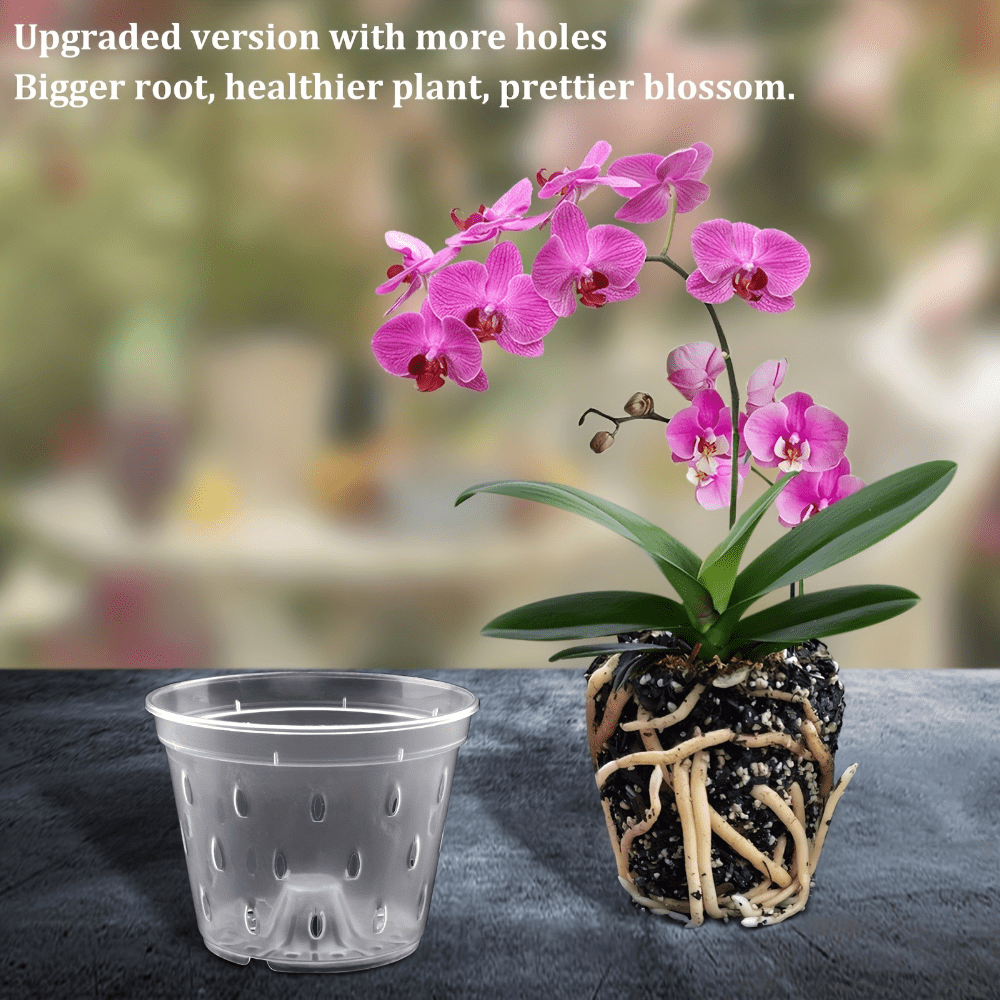 kunststoff pflanzgef orchideen orchideen topf - Temu Luxembourg