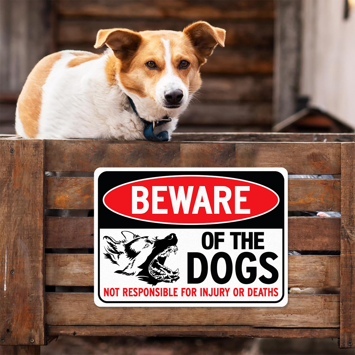 

1pc Beware Of , No For Injury Or Dog , Or Use For Signs