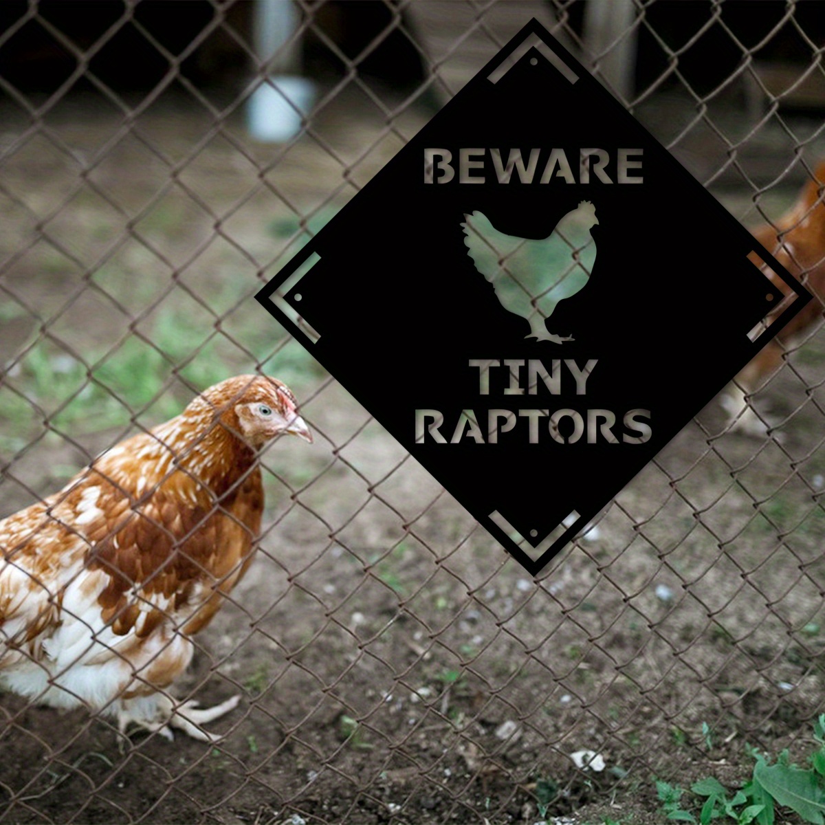 Beware Of The Tiny Raptors Metal Sign - 8x12 Inch Farmhouse Decor For Chicken Coop, Barn, Or Kitchen