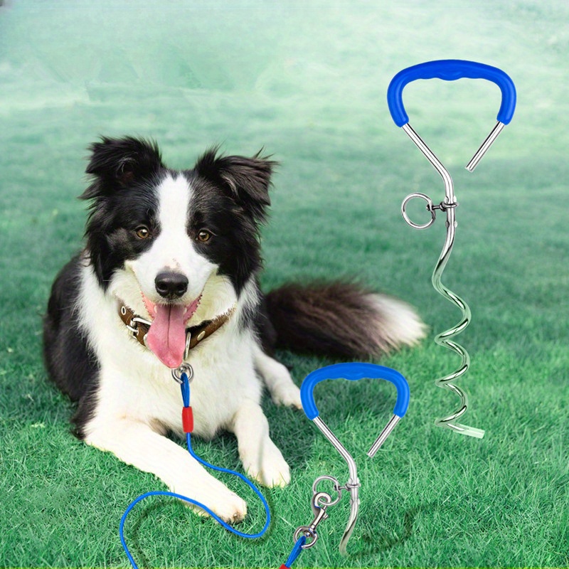 Ground stake for dog leash best sale