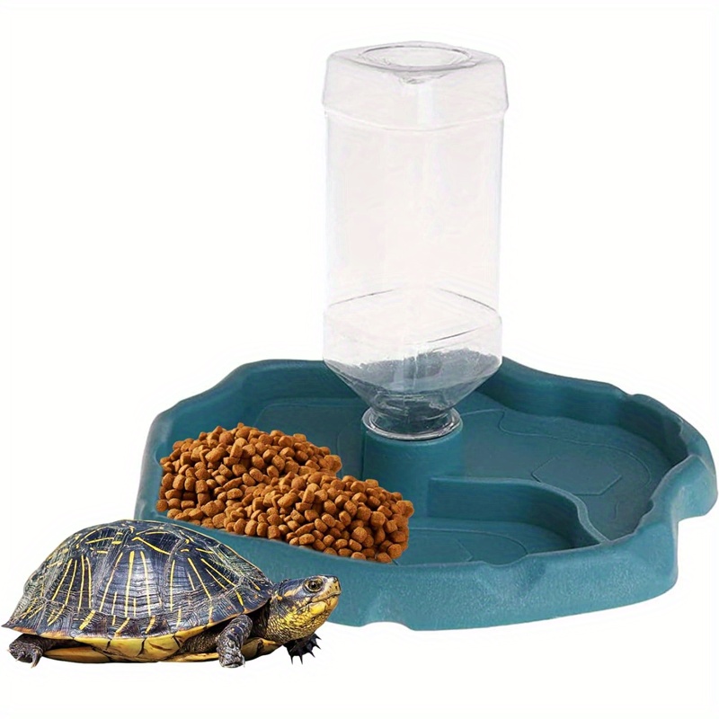 Leopard Gecko Accessories Food Bowl, Pack Reptile Feeding India