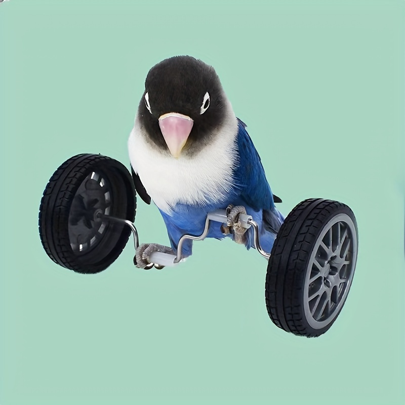 

Parrot Training Toy With Wheels - Balance Bike For Birds, Plastic Material, Mental Stimulation & Exercise, Enhances Pet - Interactive Play Toy For Parrots And