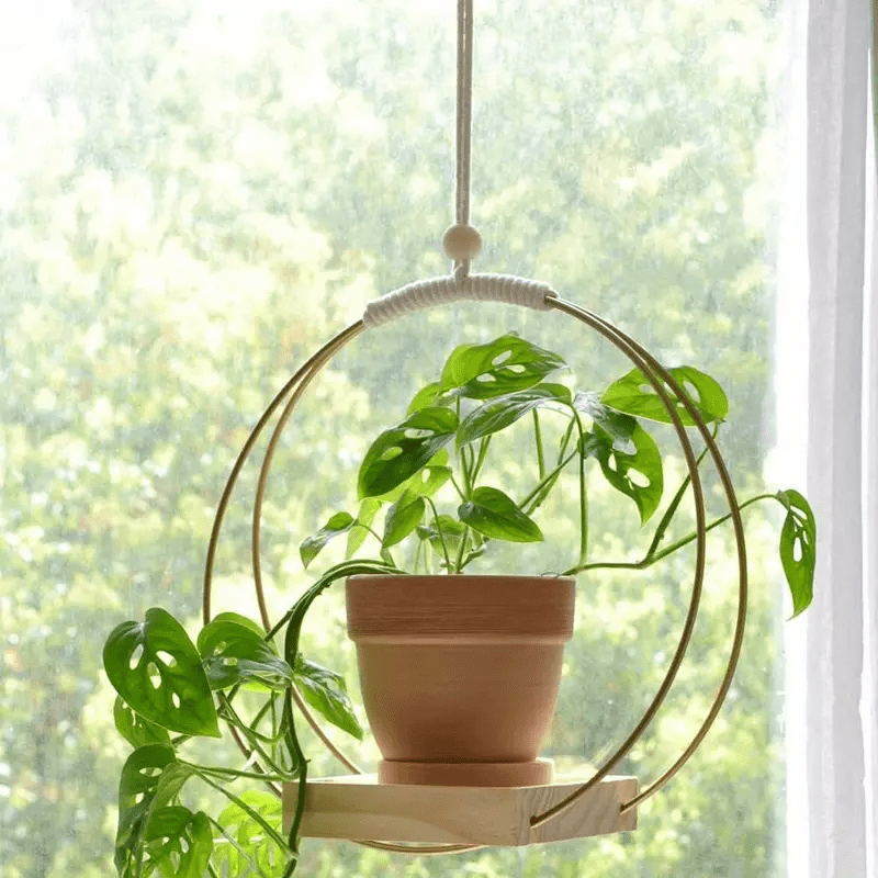 

1pc, Boho-chic Golden Macrame Plant Hanger Versatile Home Decor For Wall Or Window, Perfect For Living Room Bedroom Enhancements (pot Plant Excluded)