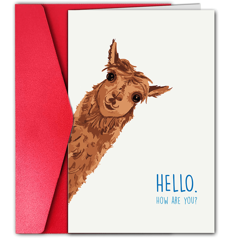 

1pc Thinking Of You Card Missing You Farm Animal Card| Cute Llama Card Cute Animal Note Card Llama Note Cards