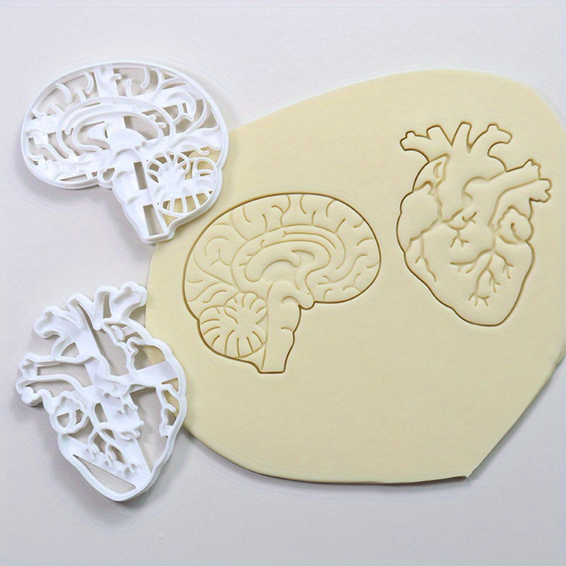 

Human Organ Cookie Stamp Set - Brain & Heart Shapes, White Plastic Embossing Tools For Baking And Party Decorations