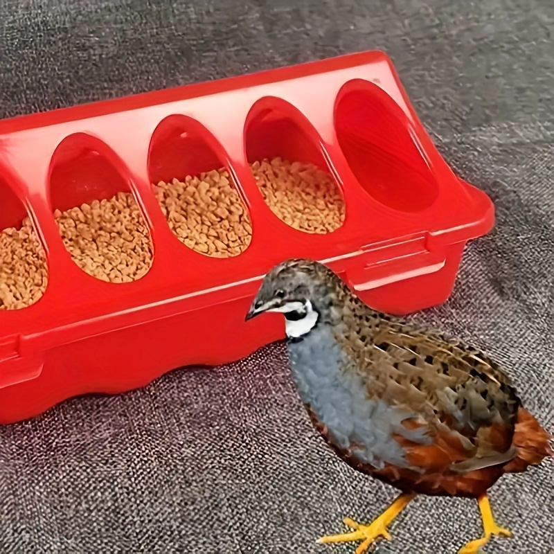 

1pc Anti-spray Chicken Feeder - Durable Plastic, Ideal For Quail, Pigeons & Small Pets