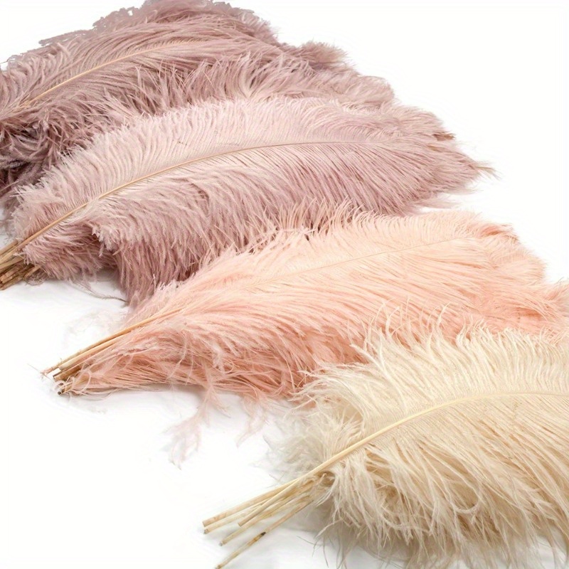 

10-piece Natural Ostrich Feathers 6-8 Inches - Perfect For Crafts, Wedding Decor & Table Centerpieces