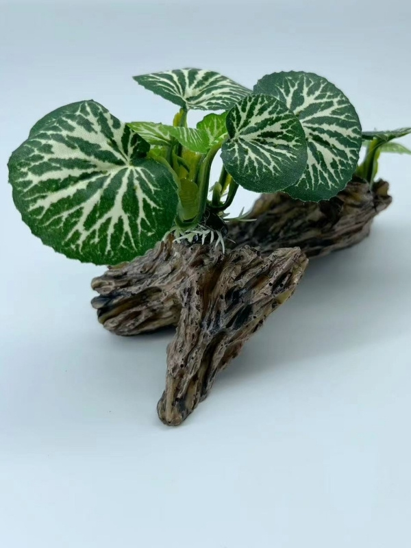 * Schildkrten Topf Set Pflanze Mikro Landschaft Kleine Wasserpflanzen