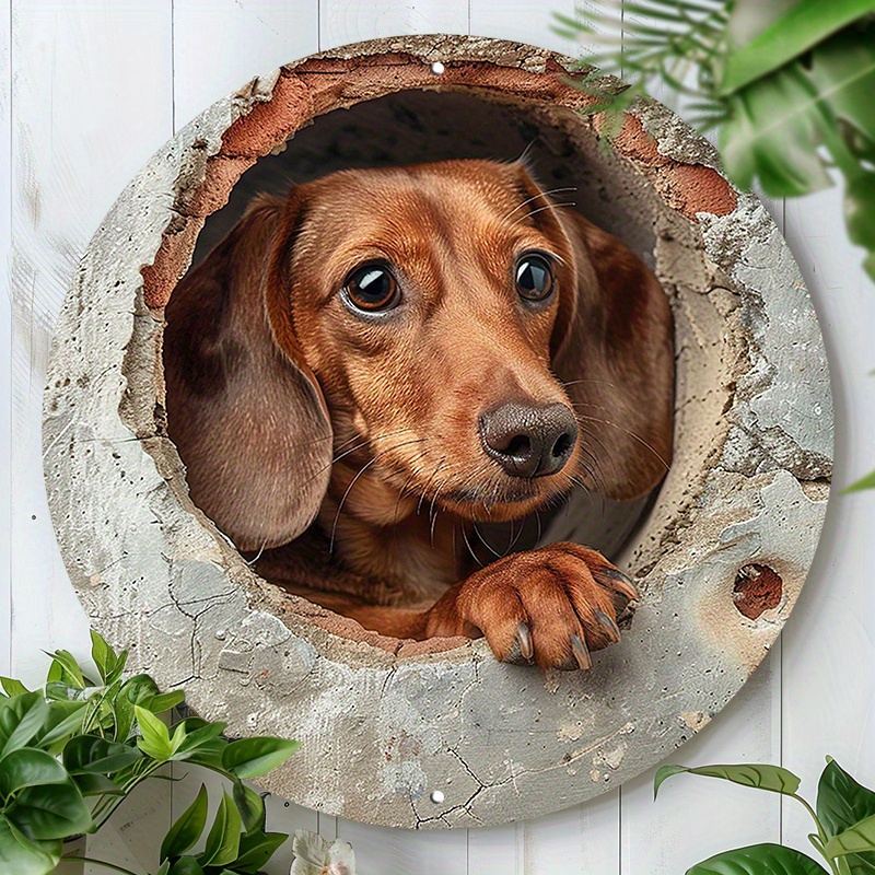 

Dachshund In The Wall" Vintage Aluminum Sign - 8x8 Inch Round, Uv & Resistant Metal Decor For Home, Cafe, Living Room