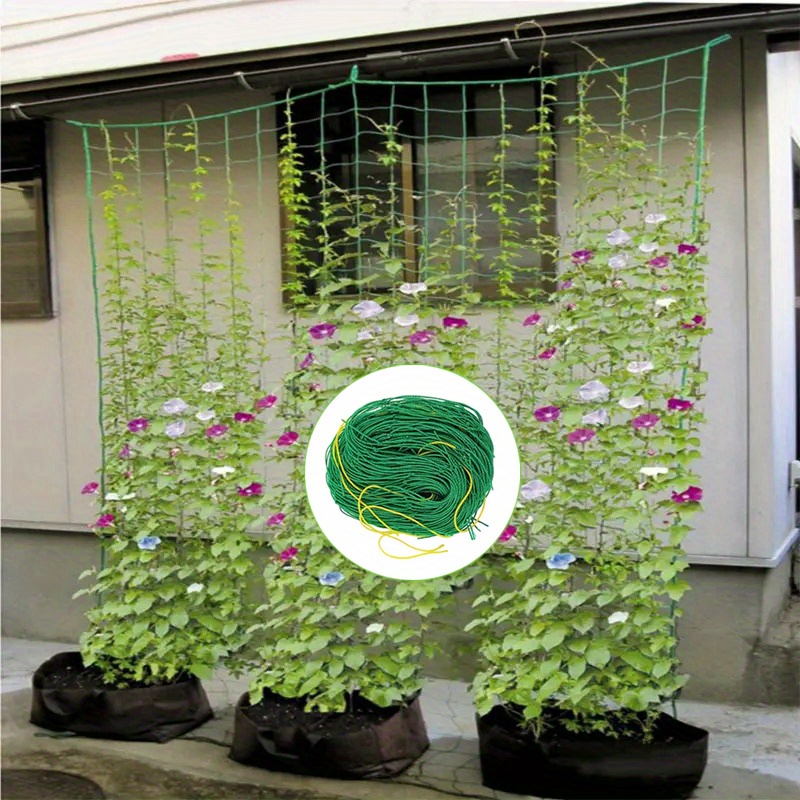 Filet SCROG 120 X 120 Cm + 4 Crochets - Treillis Palissage Élastique Pour Plantes, Légumes, Fleurs, Tente Culture Intérieur