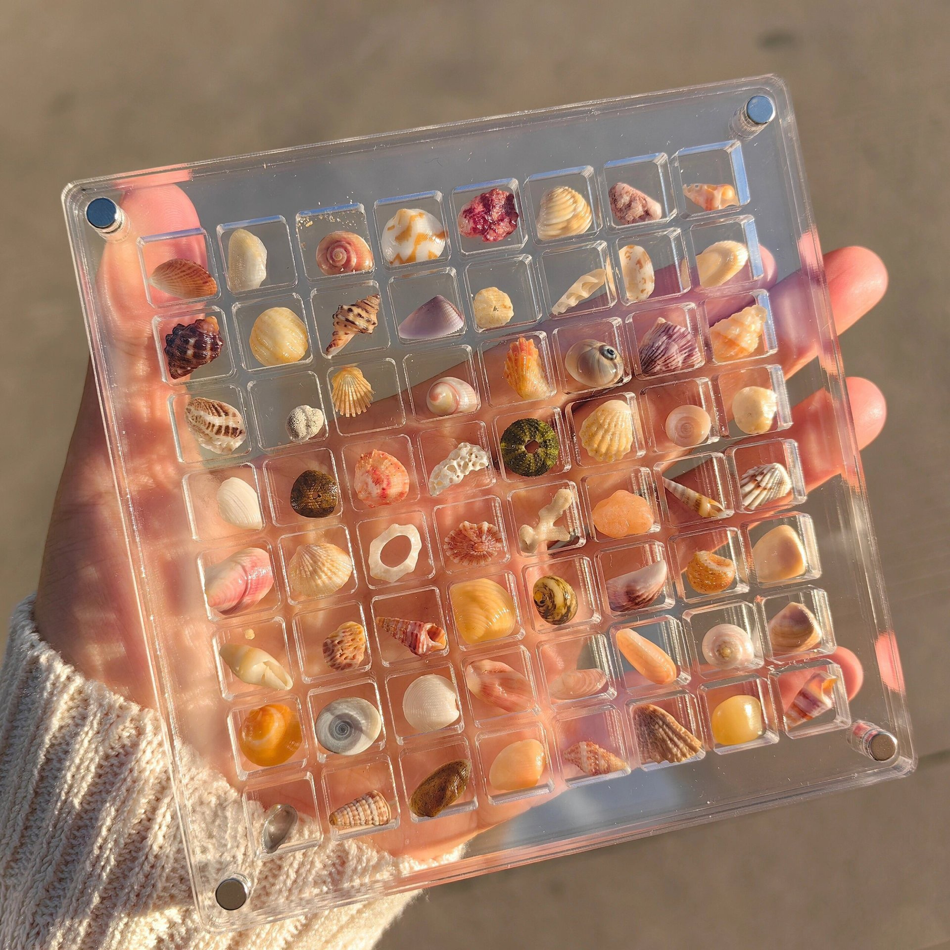 

1pc Acrylic Square Shell Organizer, Transparent Seashell Display Case, Miniature Beach Stones Specimen Showcase, Coastal Decors Storage Box