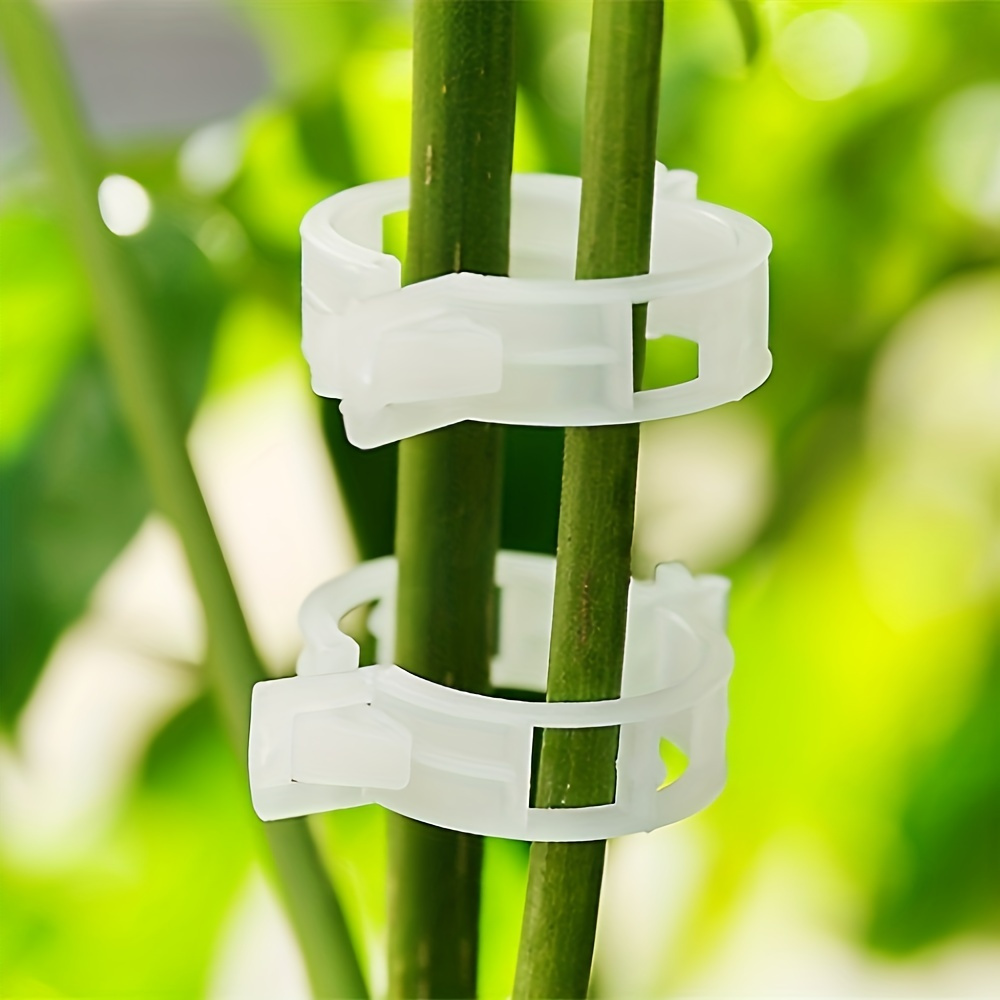 

100pcs White Plant Support Clips, Garden Clips For Vine, Tomato Vegetable Plant Trellis Clips, Durable Plastic Twist Ties For Upright Plant Growth And Health