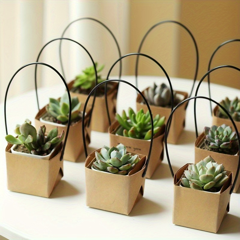 

12/24-pack 'watch Me Grow' Succulent Gift Bags - Fits 2" Mini Pots, Perfect For Party Favors & Small Business Supplies