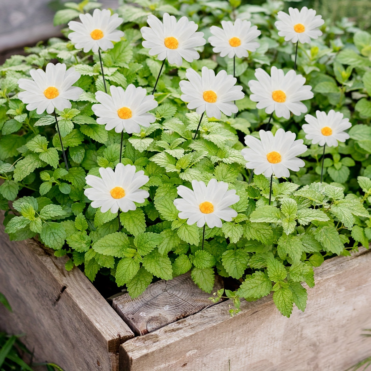 

10-pack Realistic White Flower Lawn Stakes - Durable, Easy-install Outdoor Garden & Yard Decor For Weddings, Parties, And Holidays Flower Bed Accessories